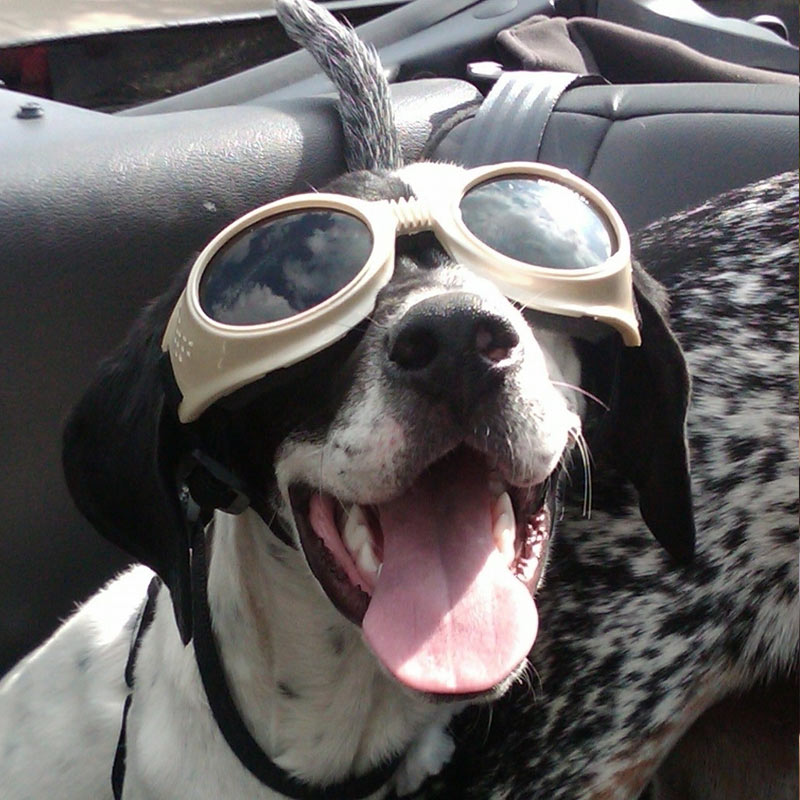 Brevino Staff - Charlotte