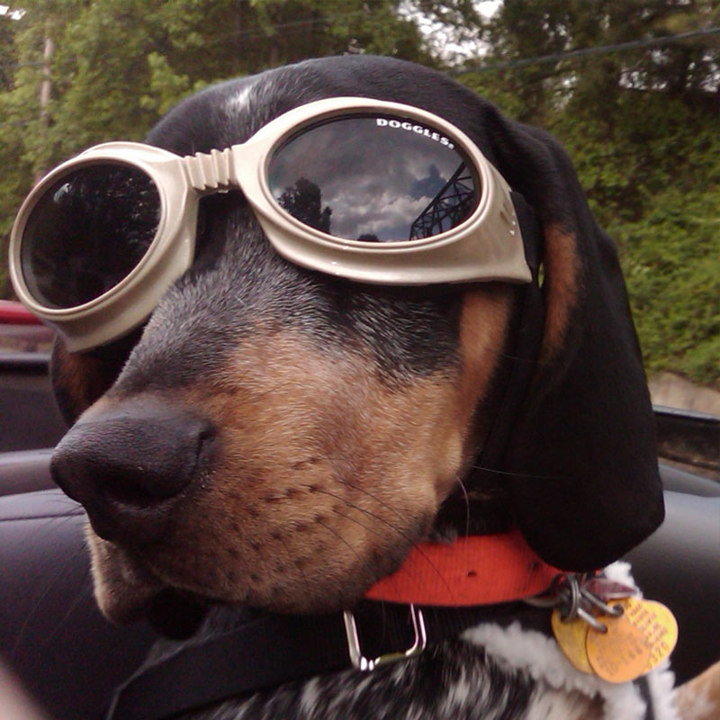 Brevino Staff - Pearl